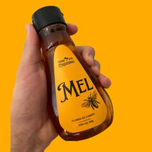 MEL BISNAGA - 320g - TERRA DOS COQUEIROS
