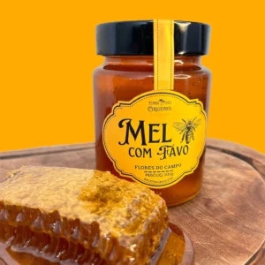 MEL COM FAVO - 500g - TERRA DOS COQUEIROS